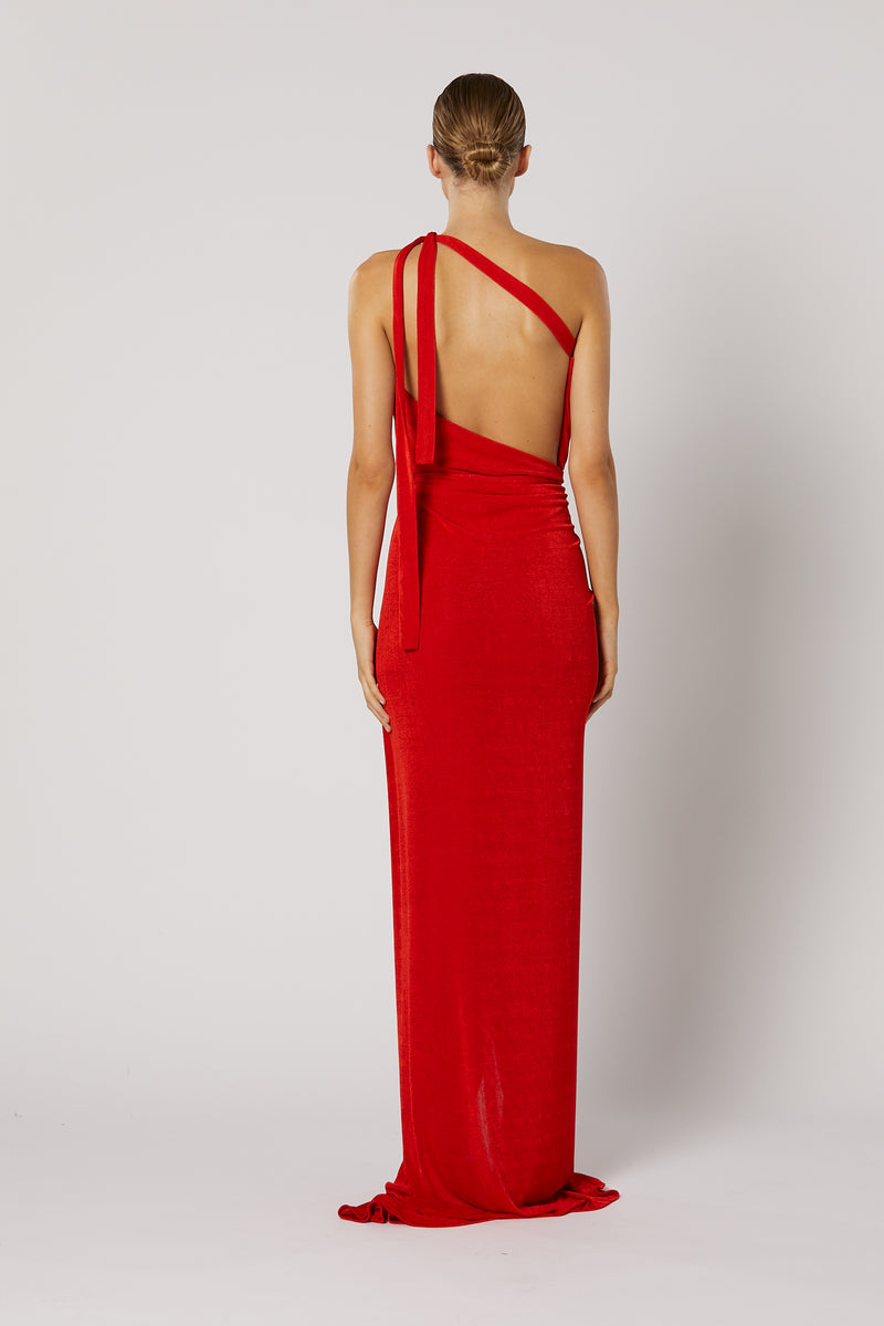 Crimsonia Maxi Dress main image 1