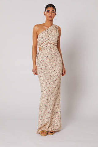 
                      
                        FLURE MAXI DRESS
                      
                    