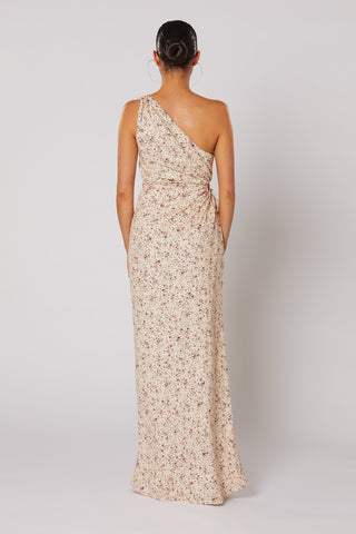 
                      
                        FLURE MAXI DRESS
                      
                    